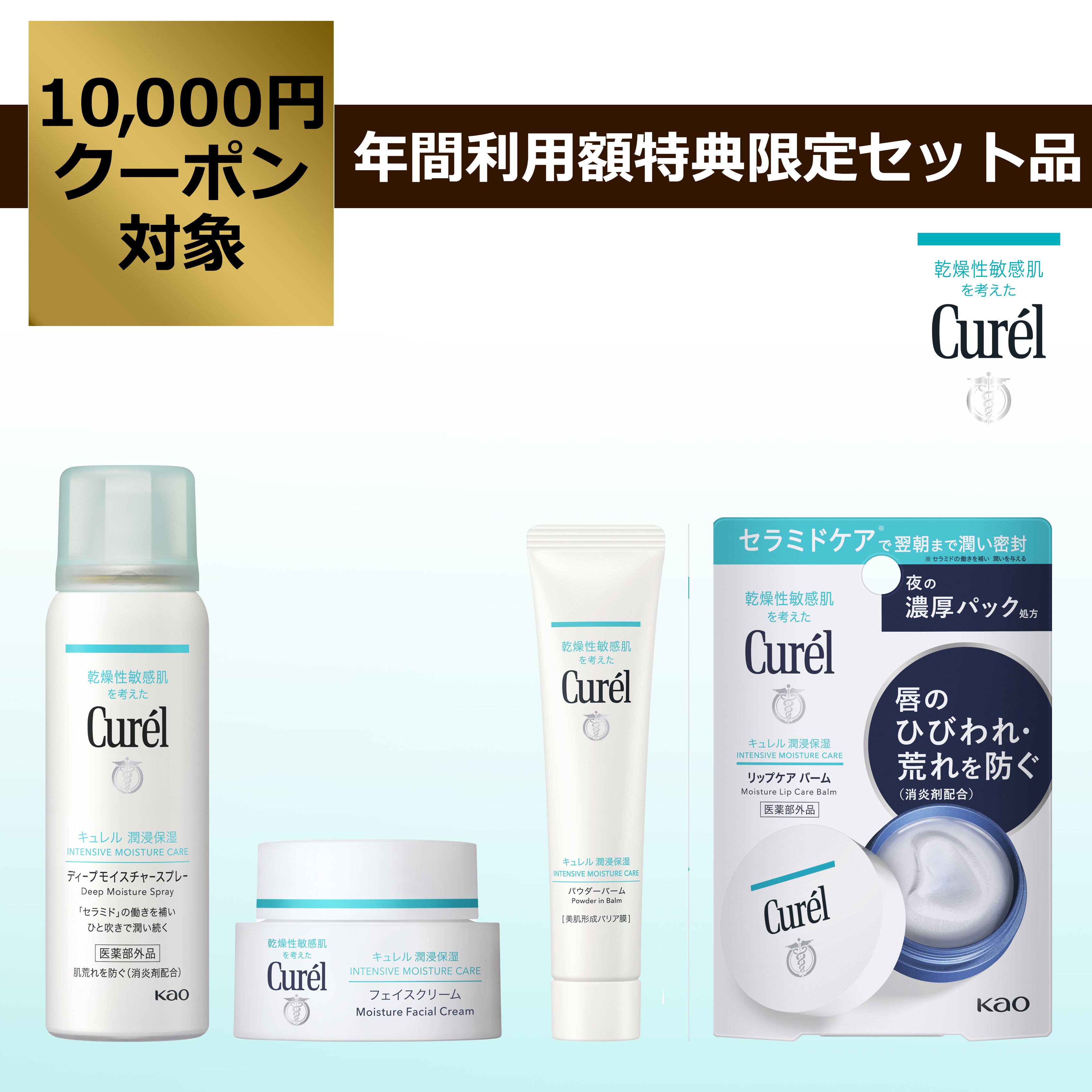 みゆ キュレル 潤浸保湿 フェイスクリーム  リップケアバーム セット みゆ様専用 キュレル 潤浸保湿 フェイスクリーム リップケア