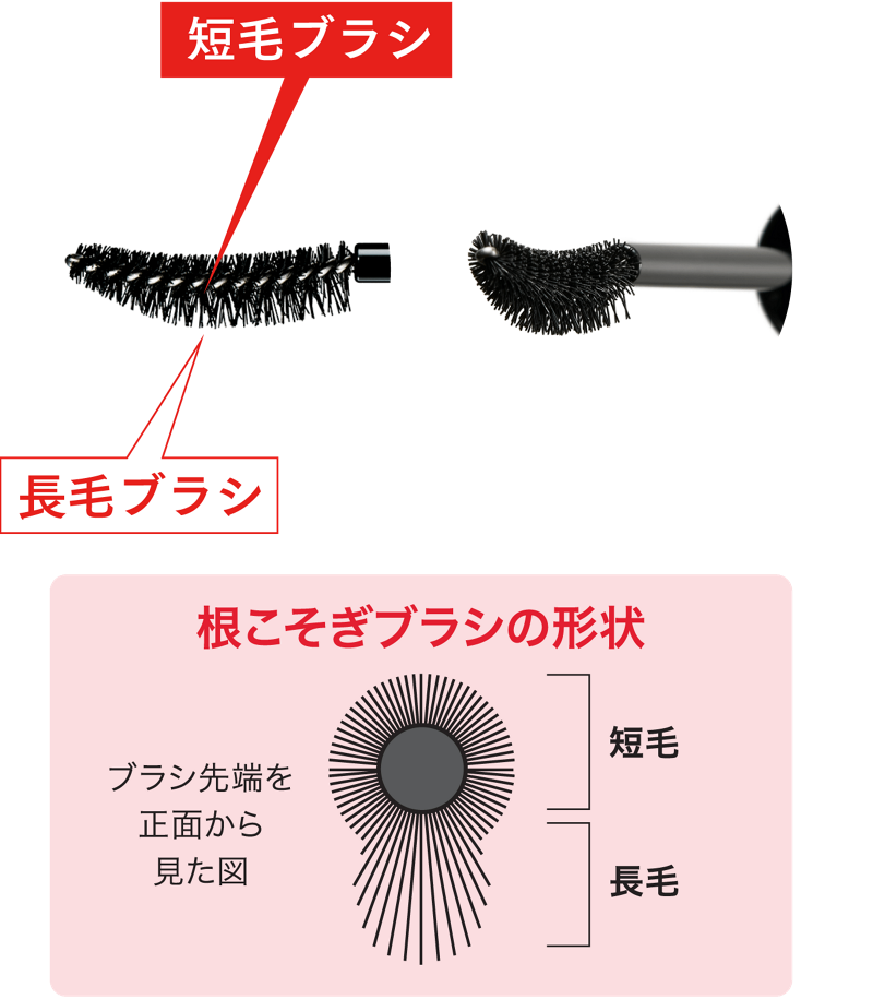 短毛ブラシ 長毛ブラシ 根こそぎブラシの形状 ブラシ先端を正面から見た図 短毛 長毛