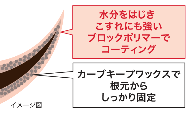 水分をはじきこすれにも強いブロックポリマーでコーティング カーブキープワックスで根元からしっかり固定 イメージ図