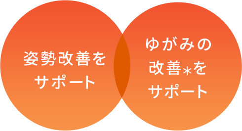 姿勢改善をサポート ゆがみの改善＊をサポート