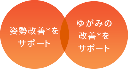 姿勢改善＊をサポート ゆがみの改善＊をサポート