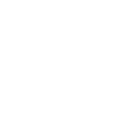 TYPE 2