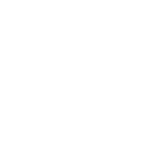 TYPE 3