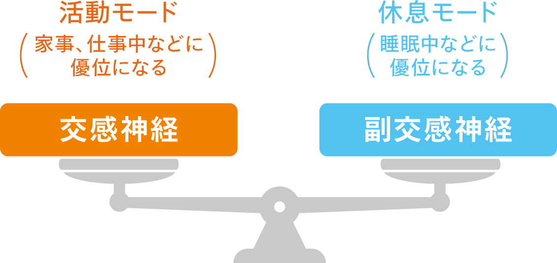 活動モード 家事、仕事中などに優位になる 交感神経 休息モード 睡眠中などに優位になる 副交感神経