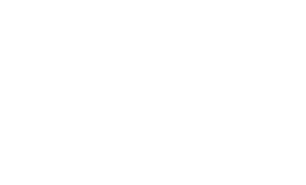 THE SLEEP
